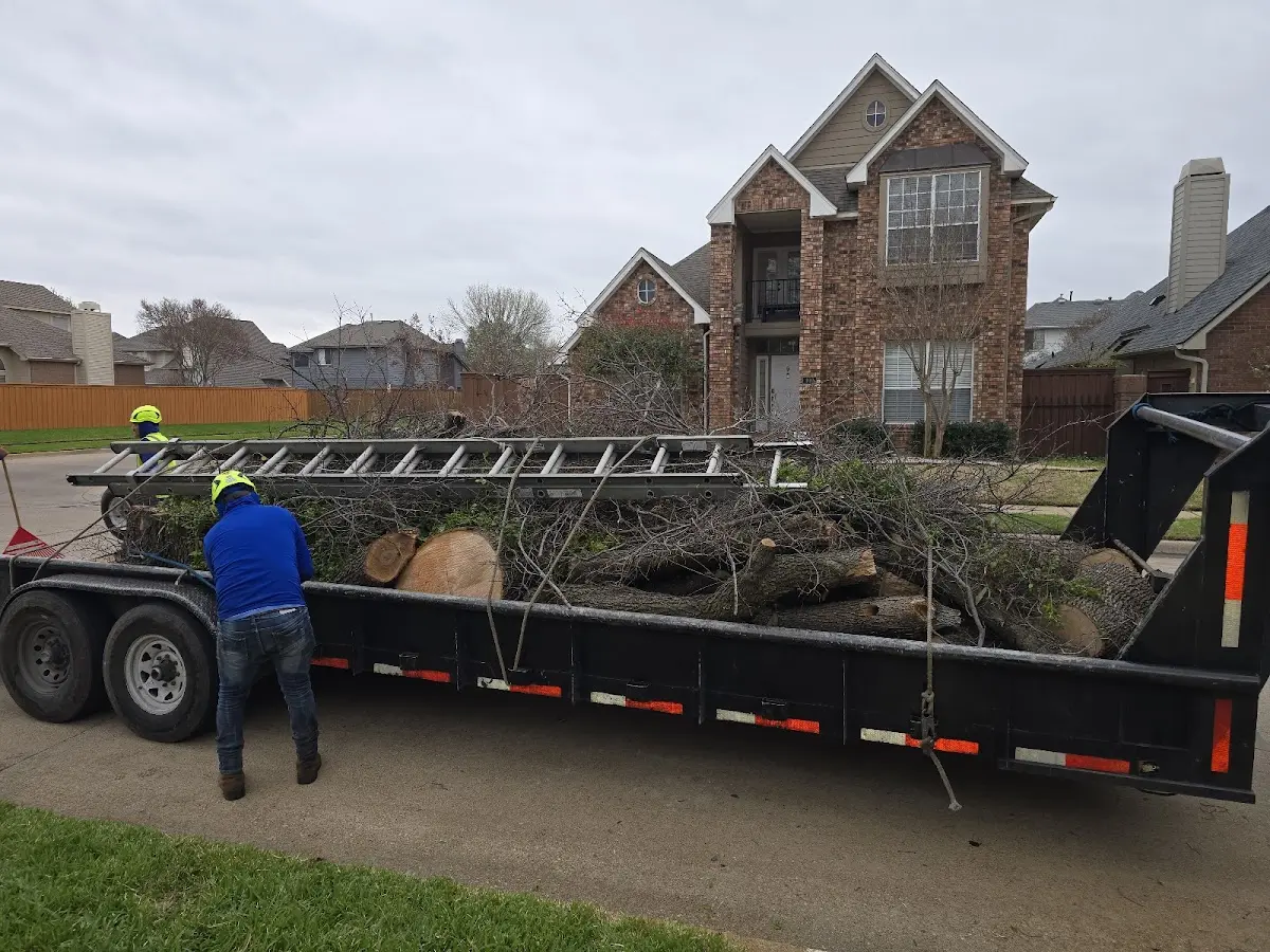 Expert Crown Reduction with proper safety equipment in Spring Gap